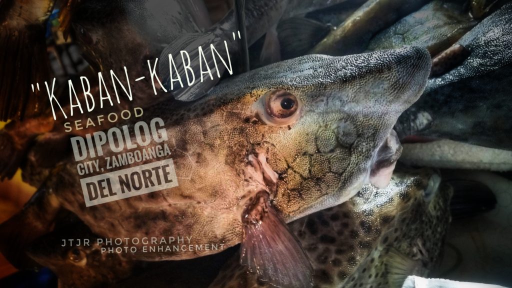 Kaban-kaban Fish